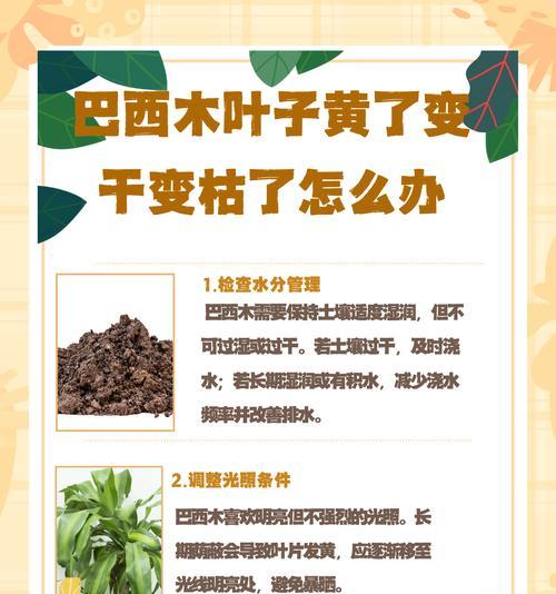 花盆土壤干燥变硬怎么办？如何保持土壤湿润？
