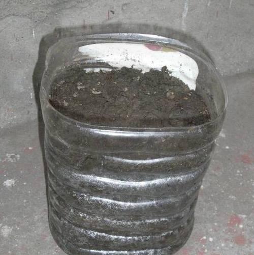用吸管剪制花盆里的土有何技巧？原因是什么？