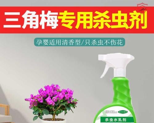 三角梅嫩芽喷抗病杀虫剂安全吗？防虫效果如何？