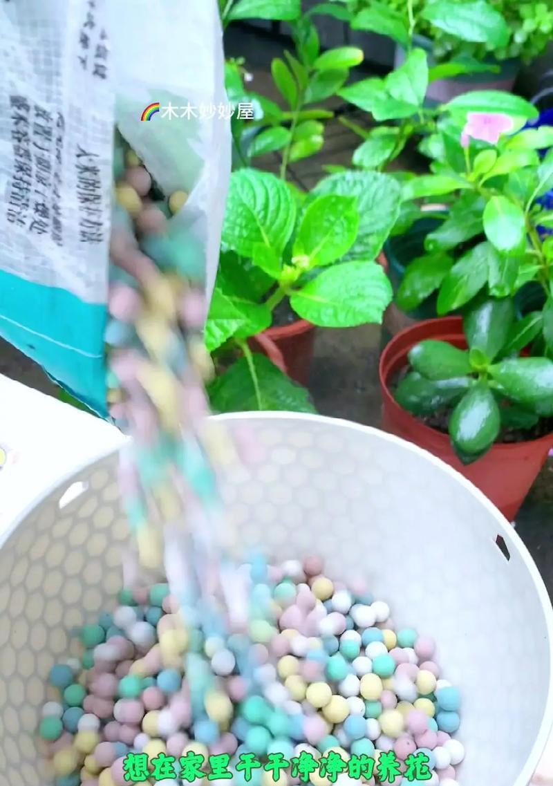 花盆里的彩色小颗粒是什么？如何处理？