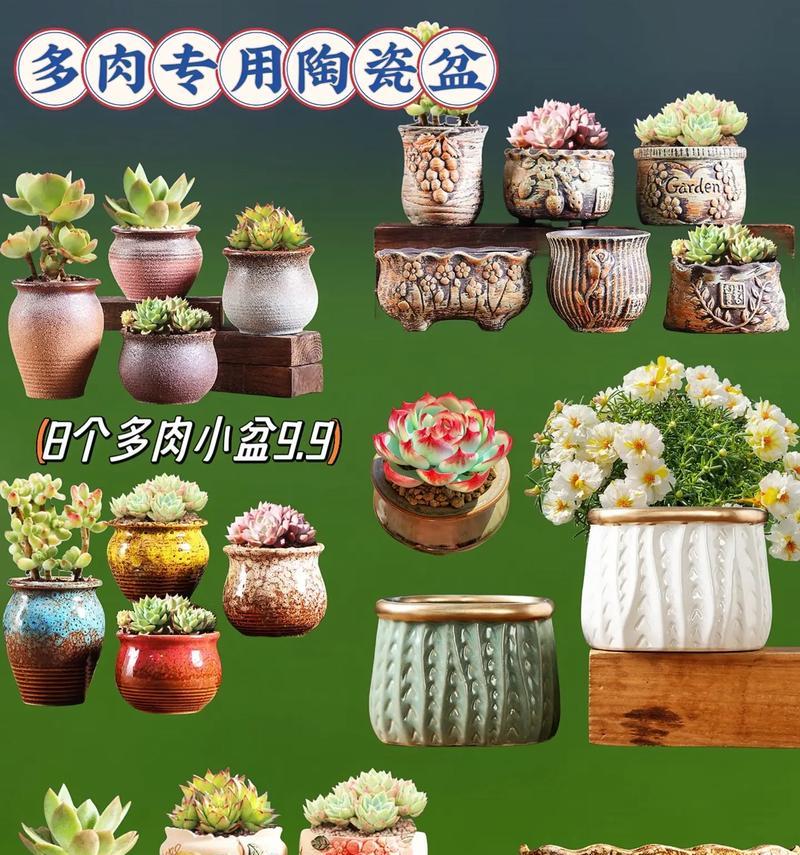 如何选择高70公分的多肉花盆？