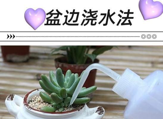 花盆里水浇不透怎么办？保湿剂有效吗？