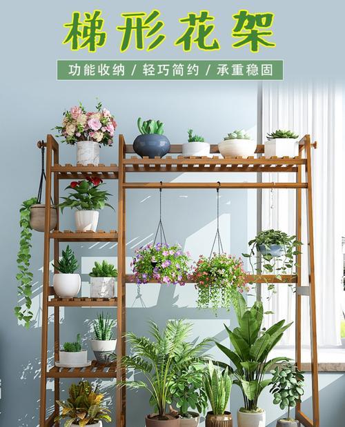 能挂在墙的花架子有哪些类型？如何选择合适的花架？