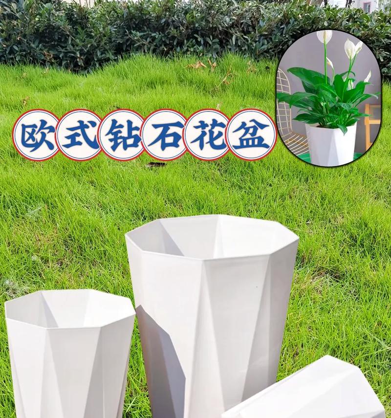欧式装修花盆选择指南：哪些既美观又经济？