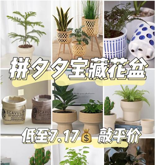 欧式装修花盆选择指南：哪些既美观又经济？