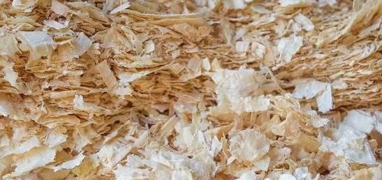 花盆的土可以添加泡沫吗？添加泡沫有什么好处？