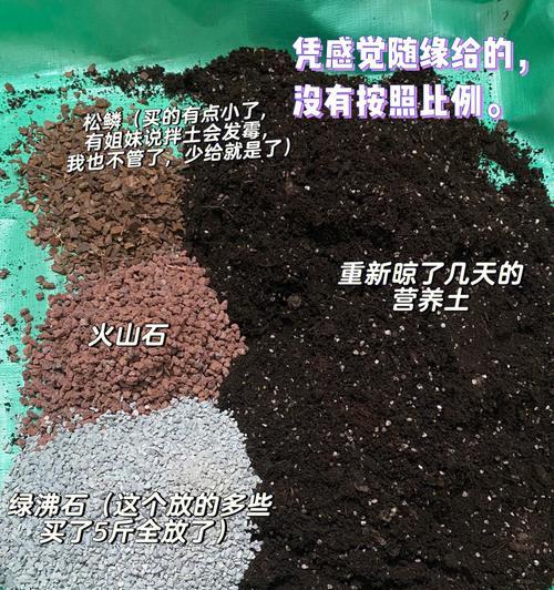 水培花盆土中黑色粉末如何清理？去除方法有哪些？