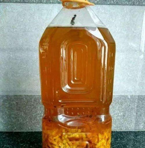 花盆土变粉末状且有虫还能用吗？有毒性吗？