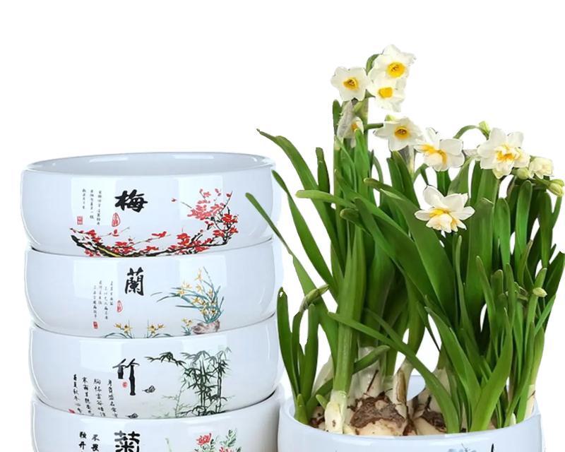 花盆不漏水水培如何实现？