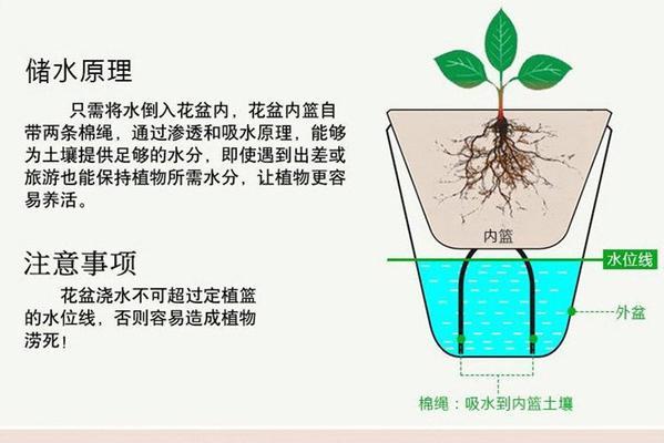 花盆不漏水水培如何实现？