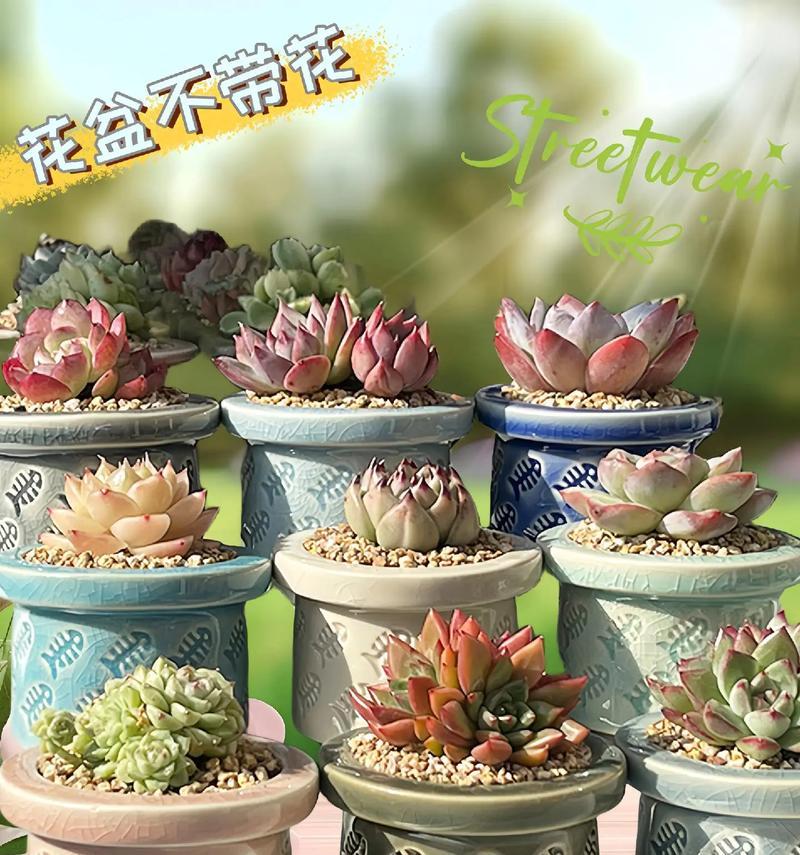 花盆上面的铜漆花纹用什么去除好？有没有安全有效的方法？