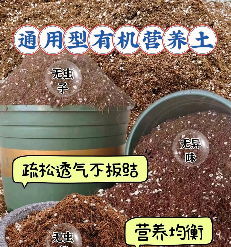 养花中提到的基质具体指什么？有何作用？