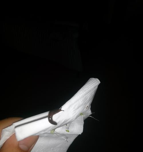 花盆底部出现黑色粉末怎么办？这是什么问题？