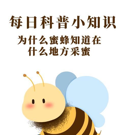 花盆里为何飞出蜜蜂？蜜蜂出现的原因是什么？