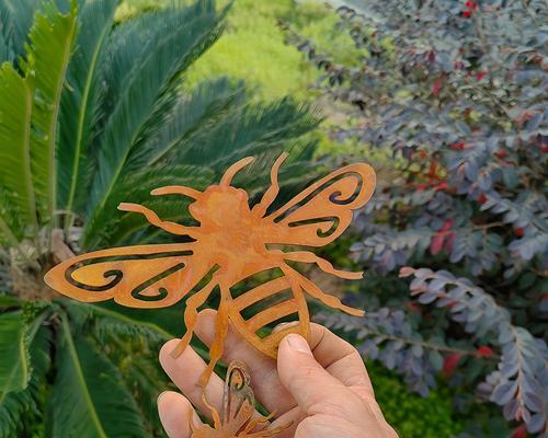 花盆里为何飞出蜜蜂？蜜蜂出现的原因是什么？