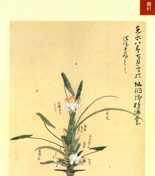 花道是国家对插花的别称吗为什么呢？花道的历史背景是什么？