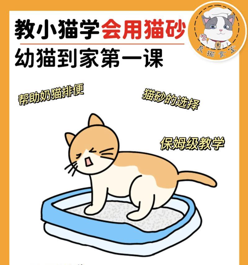 猫在花盆里拉屎好吗？如何训练猫使用猫砂？
