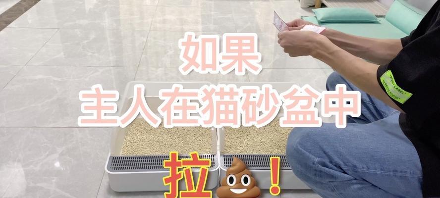 猫在花盆里拉屎好吗？如何训练猫使用猫砂？