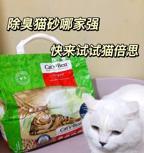 猫在花盆里拉屎好吗？如何训练猫使用猫砂？