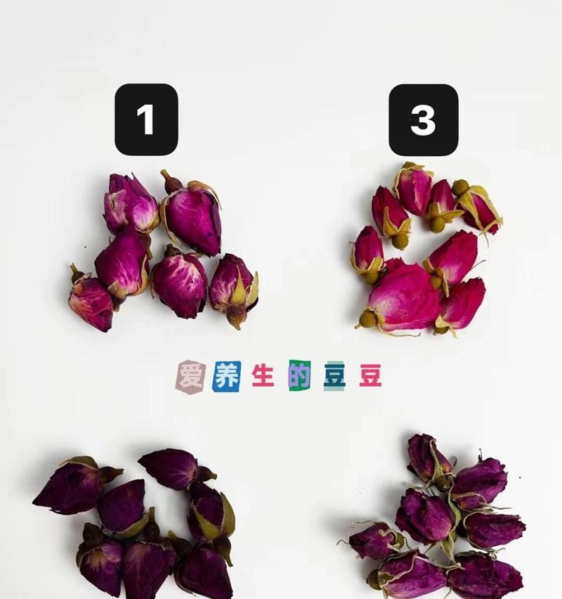 哪些方法可以有效辨别花草？辨别花草的最佳技巧是什么？