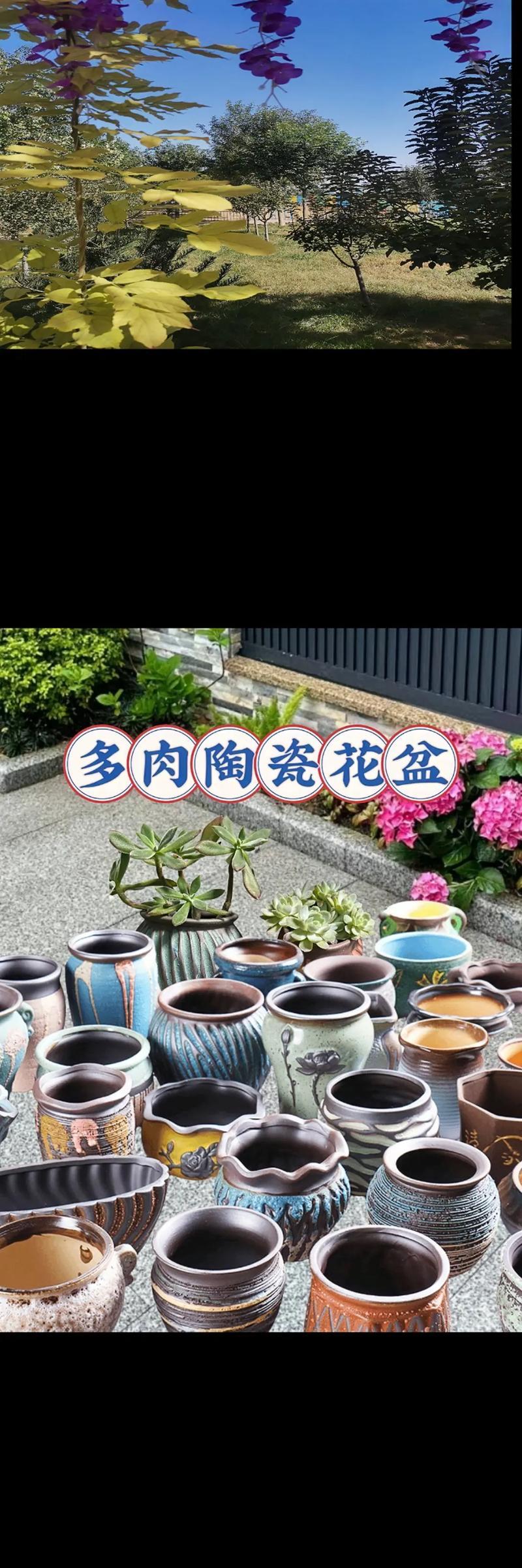 圆筒花盆的美观摆放技巧有哪些？