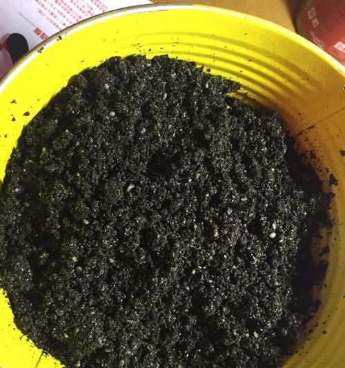 如何有效去除花盆表面的白色粉末？