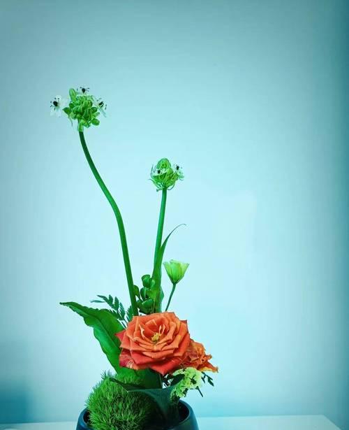 上插花等同于赏花吗对吗？插花艺术的审美价值何在？