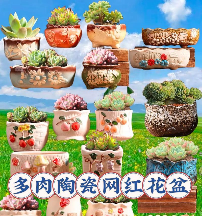 80公分多肉花盆的尺寸选择标准是什么？
