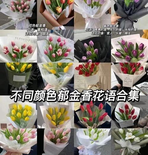 紫色郁金香玫瑰花束代表什么？花语有哪些？