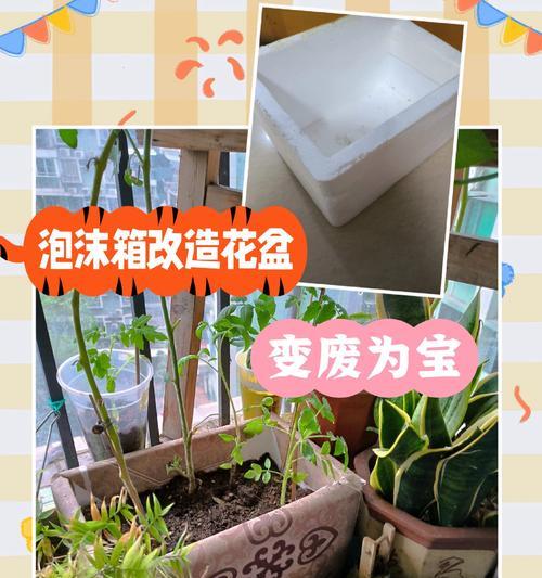 花盆泡沫叫什么？有什么特殊用途？