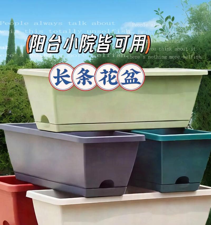 选择花盆时应该注意哪些要点？如何根据植物选择合适的花盆？