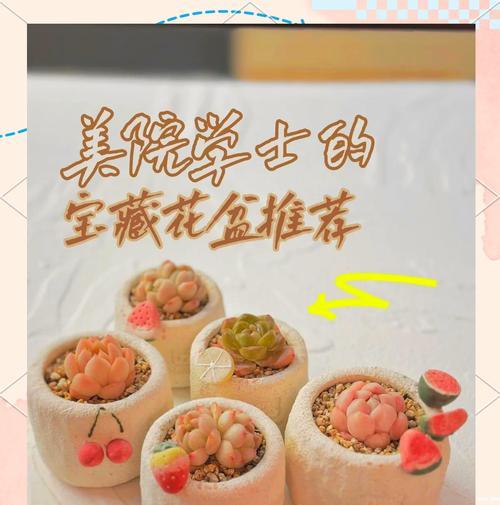 选择花盆时应该注意哪些要点？如何根据植物选择合适的花盆？
