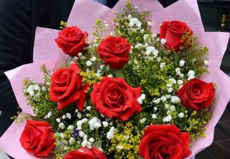 花盆土里金粉虱的有效处理方法是什么？如何彻底清除？