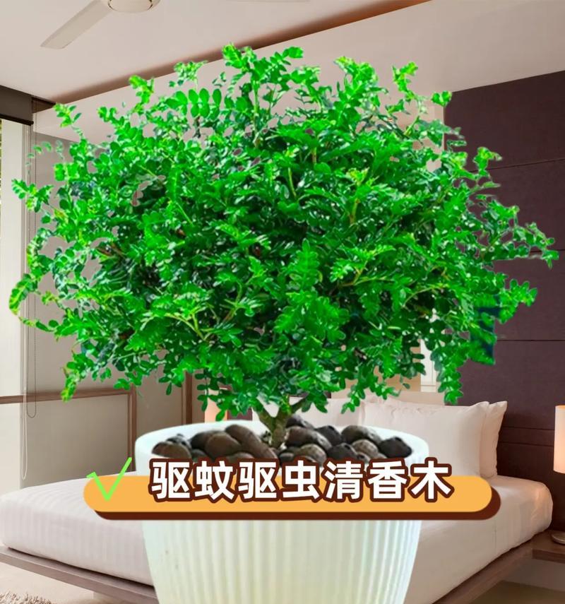 保护家中花草防蚊虫的有效方法是什么？如何在家中有效防蚊？