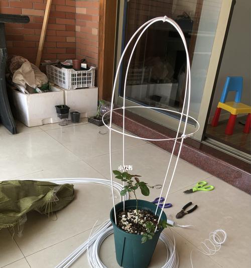 一根棍子如何简单制作花架？有哪些步骤？