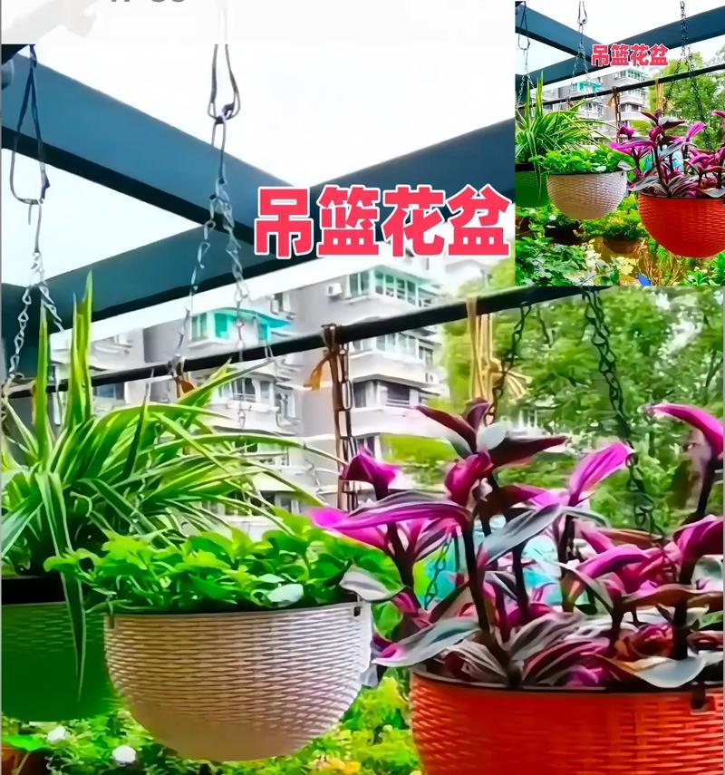 高筒花盆适合种植哪些花卉？挑选高筒花盆的技巧是什么？
