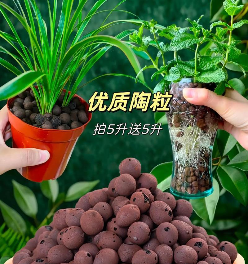 花盆里放泡沫和土是否可行？这样做有哪些好处？