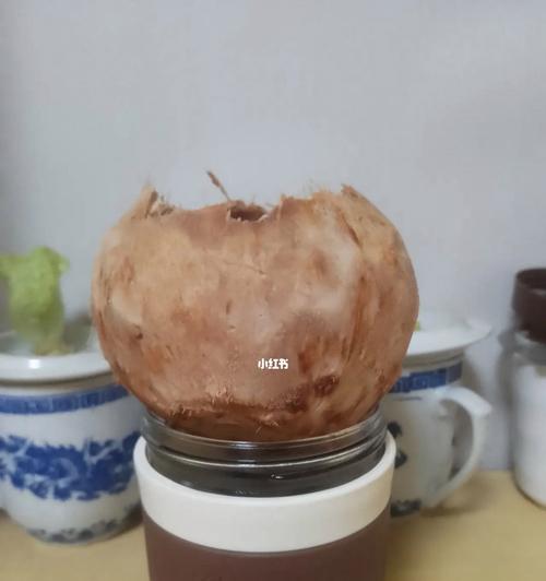 水培花盆底部潮湿怎么解决？有哪些有效的方法？