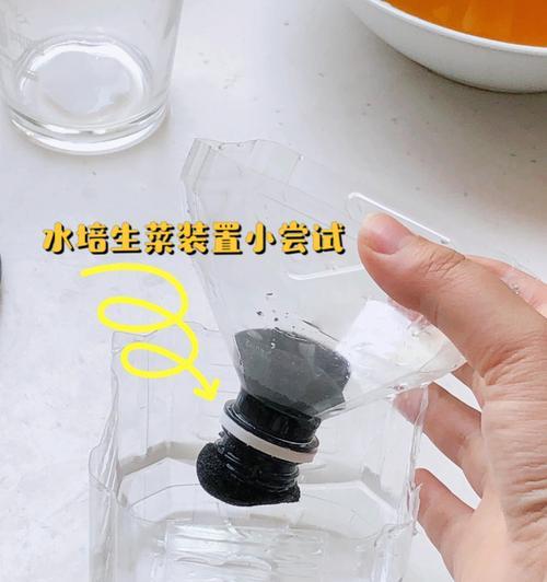 水培花盆底部潮湿怎么解决？有哪些有效的方法？