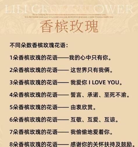 52朵香槟玫瑰代表什么？花语和特别含义有哪些？