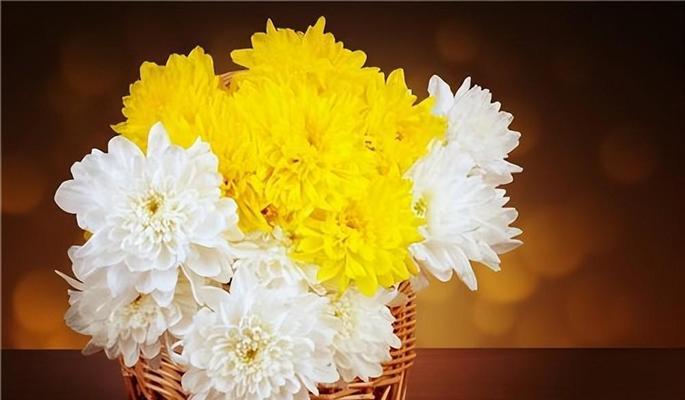 友情的花语有哪些？哪些花代表着友情？