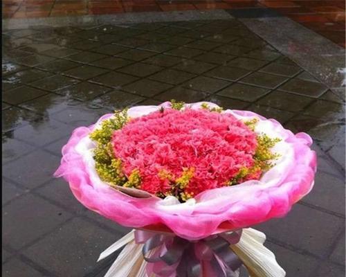送花康乃馨代表什么含义？如何正确表达情感？