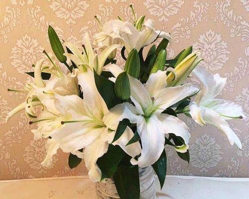 香水百合代表什么？花语和寓意有哪些常见问题解答？