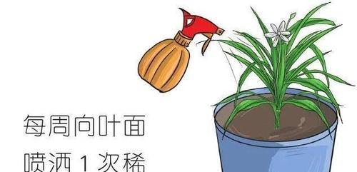 过期酸奶浇花的正确方法是什么？如何正确使用过期酸奶进行浇花？