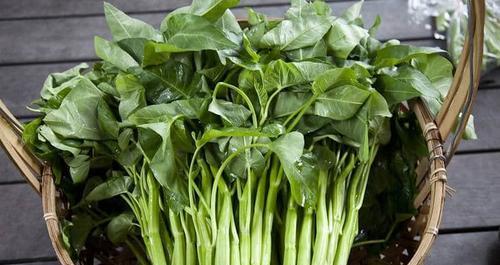 过完年适合种什么菜？有哪些蔬菜种植的最佳时机？