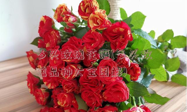 多头玫瑰代表什么意思？多头玫瑰的花语有哪些含义？