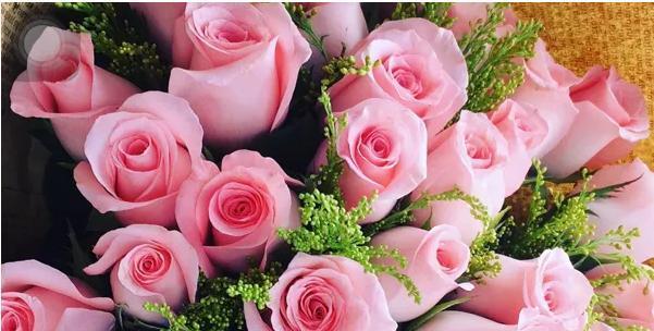 粉红色玫瑰代表什么含义？花语解读与送花指南？
