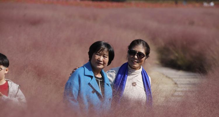 粉黛乱子草的花语是什么？如何正确解读其含义？