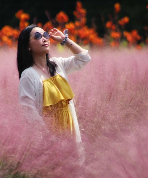 粉黛乱子草的花语是什么？如何正确解读其含义？