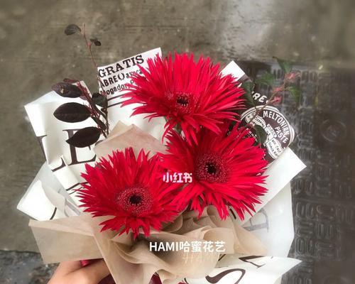 红色扶郎花语是什么？如何正确解读扶郎花的含义？
